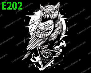 Owl.jpg