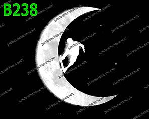 Skate in the Moon.jpg