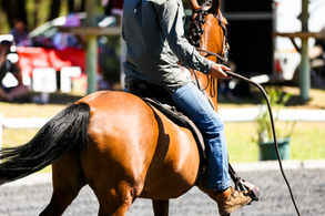 Equinox Trust Horse Expo 2022 - Nooitgedachter Breed Society