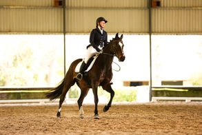 Rivendell Show - Dressage at Rivendell Stud