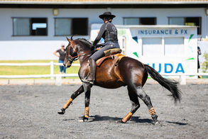 Equinox Trust Horse Expo 2022 - Monte Cavalo
