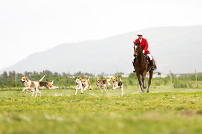 Cape Hunt Club Simondium Hunt - Drag Hunting 