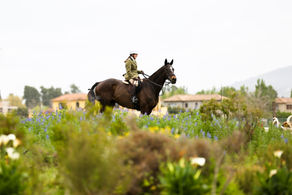 Cape Hunt Club Simondium Hunt - Drag Hunting 