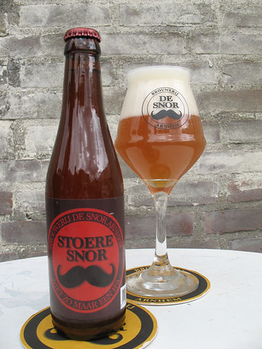 stoere snor.jpeg