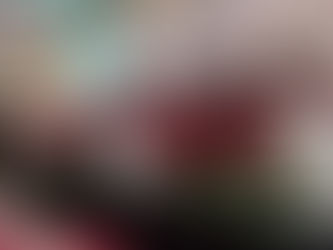 Participa CMFSQ en Primera Sesión Ordinaria de Ordenamiento Metropolitano de Ensenada, Mexicali y Tj