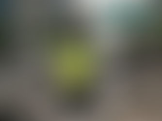 Meet Hangxing No. 1: Hangzhou’s Humanoid AI Traffic Cop Arrives