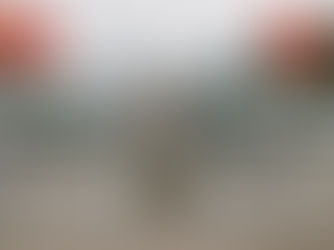 China’s Robot Army on the Border: Where Science Fiction Guards Reality