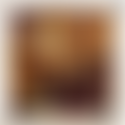 Spanish Intergroup Quarterly Meetings