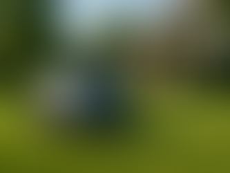 Robotic Lawn Mowers Evolve: Startups and Giants Innovate Amid Growing Demand for Sustainability