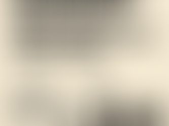 Expose the Bint Jubeil Grip: How Immigrants from a Troubled Town Are Orchestrating Dearborn's Shadow Economy