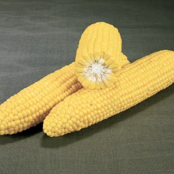American Sweet Corn 1kg Price in Chennai: Freshness, Quality, and Where to Buy
