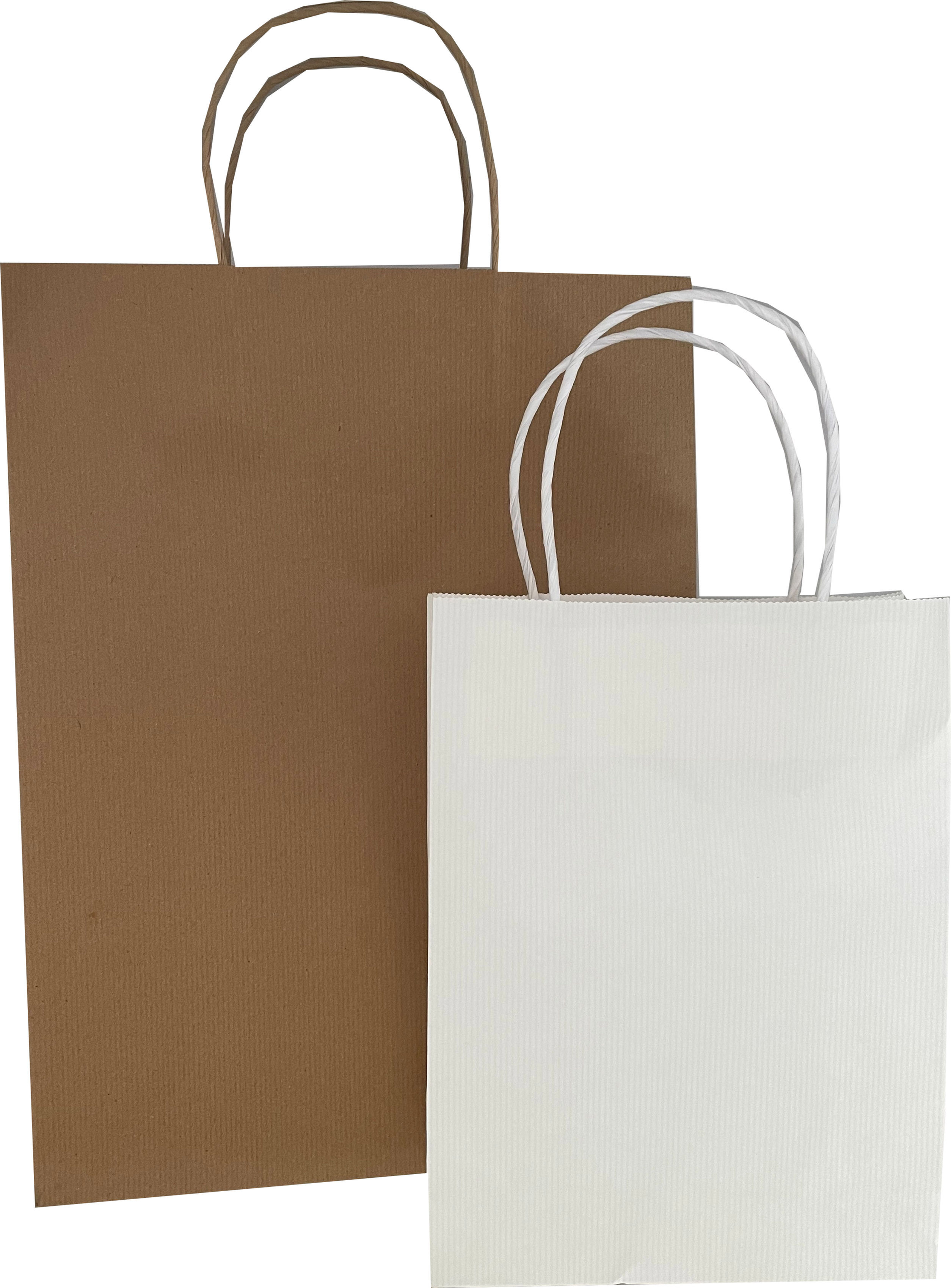 SB Clearance Gift Bags (pkt of 100)