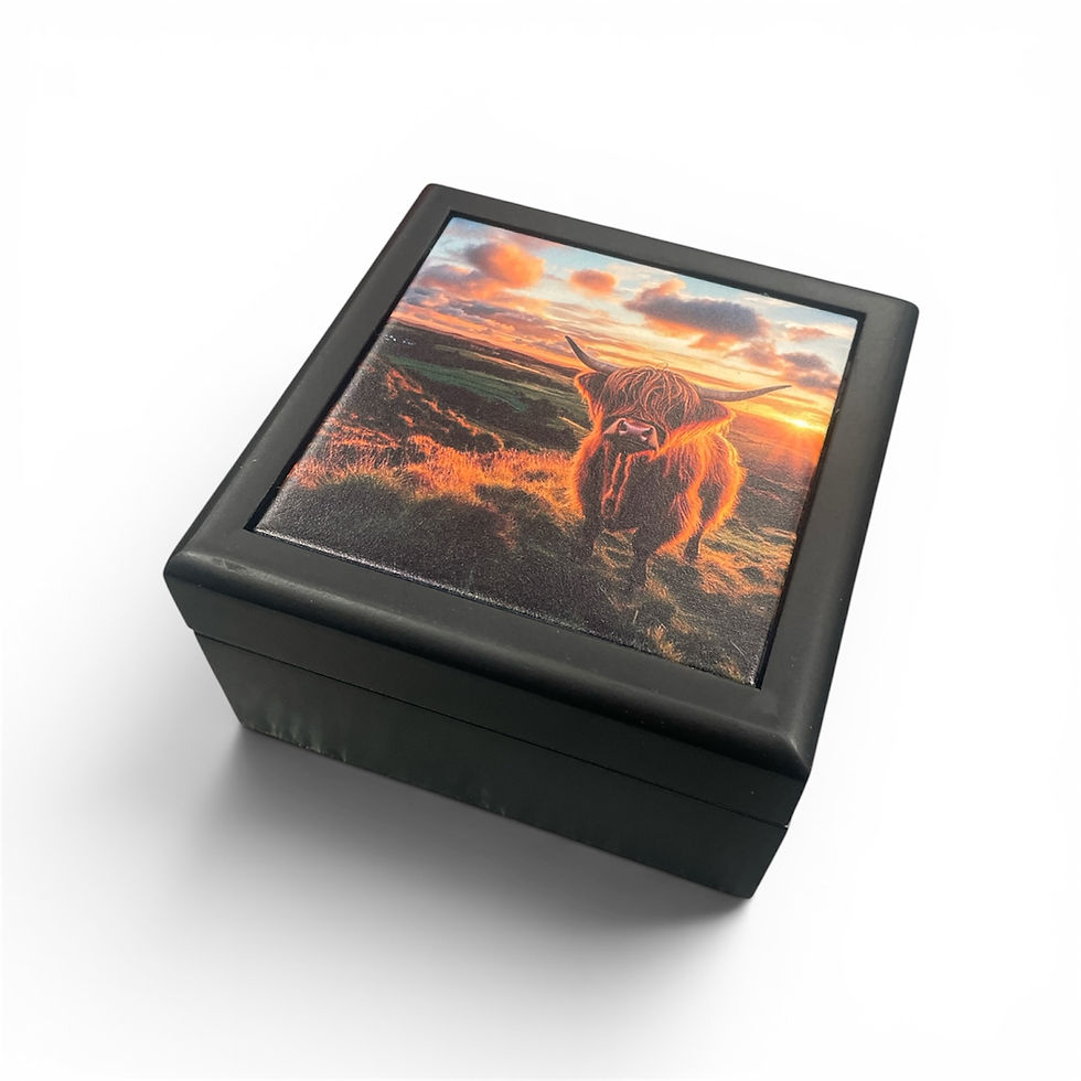 Thumbnail: Highland Cow