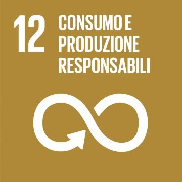 imgi_175_SDG-icon-IT-12-360x360.jpg