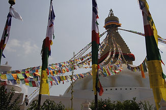 _MG_1133.JPG