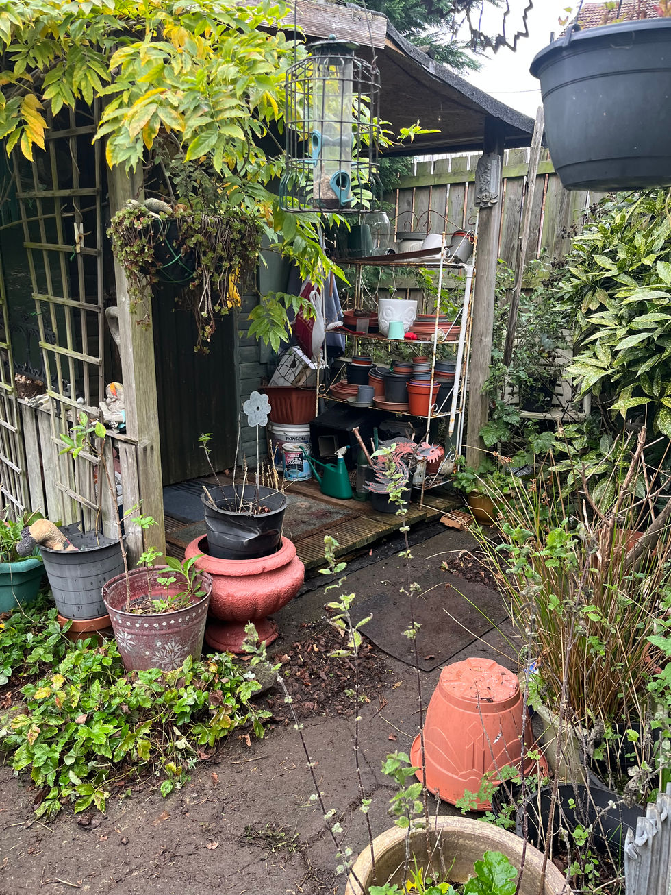 Clear pathways to the shed