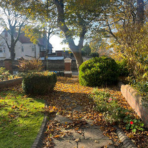 Autumn Leaf Clearance