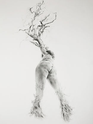 Emergence - Tree Woman - Graphite on paper - Jennifer Robson_edited_edited.jpg