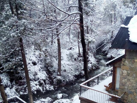 Arroyo nevado | Vista desde el dormitorio 🏔🌲