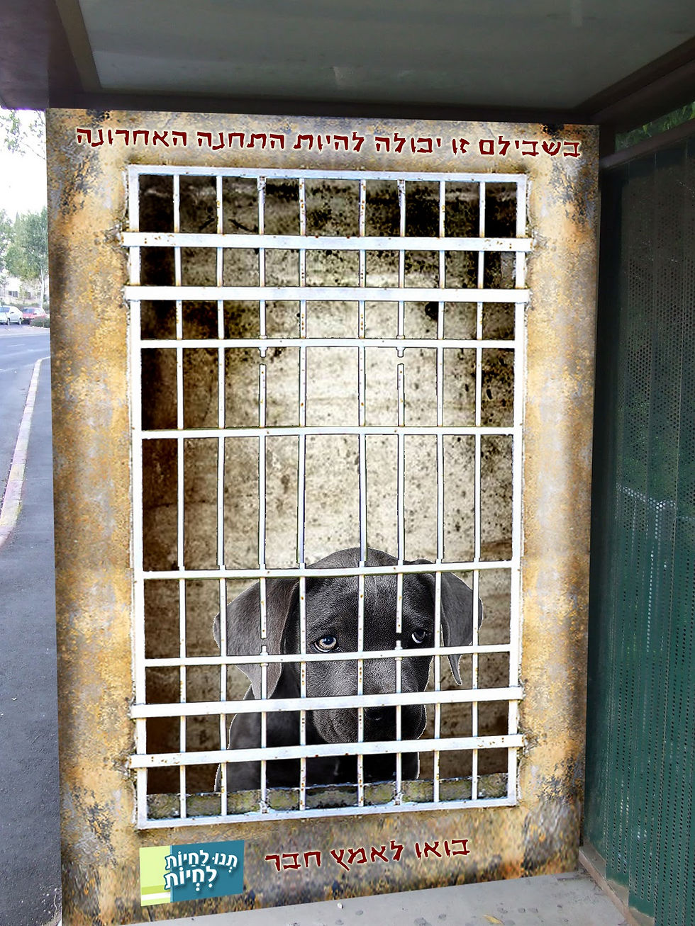 Bus stop print - Calling to adopt a dog that is on his last stop before extermination.