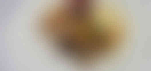 Hotelová akadémia Nitra, SK