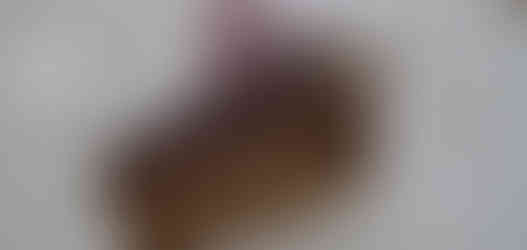 Střední škola společného stravování, Ostrava-Hrabůvka, CZ