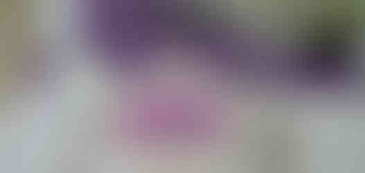 Obchodní akademie a Hotelová škola, Třebíč, CZ