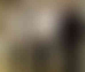 Hotelová akadémia Ľudovíta Wintera, Piešťany, SK 2. miesto v kategórií Kuchár - Lukáš Turanský, Erik Machovič