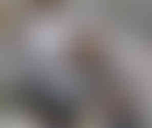 Ugostiteljsko-turistička škola Osijek, HR