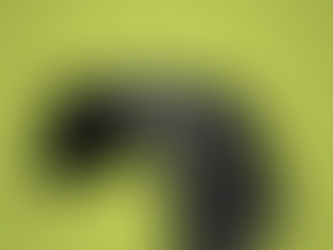 כנף או מגן בוץ?