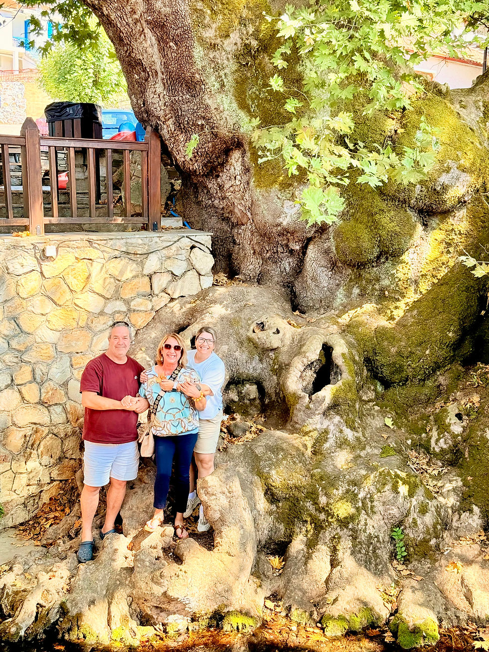 Greek friends at the shade of old Platanus Tree