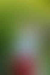 Portret de băiețel vesel, ce se joacă în apa unui pârâu.