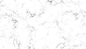 gray-and-white-marble-texture-free-vector.jpg