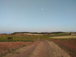 Fotos verano de 2019