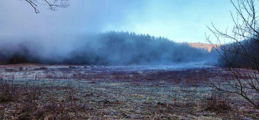 edited rolling fog.jpg