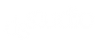 DSStudio_white no sfondo.png