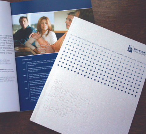 Baview Financial Annual Report