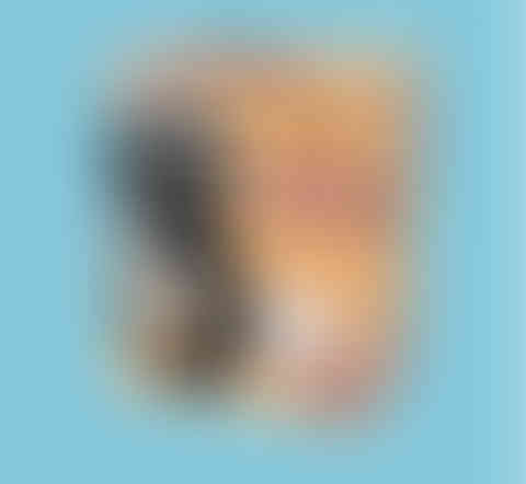 Mr. Coffee Cafe Latte Packaging