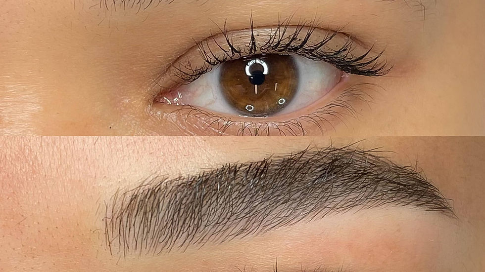 Nanoblading before (top) and after (bottom) with Maya Louredo