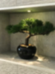 image7.jpeg
