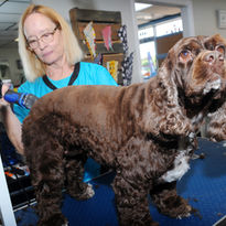 20230322Petcenter by CvB Photography021.JPG