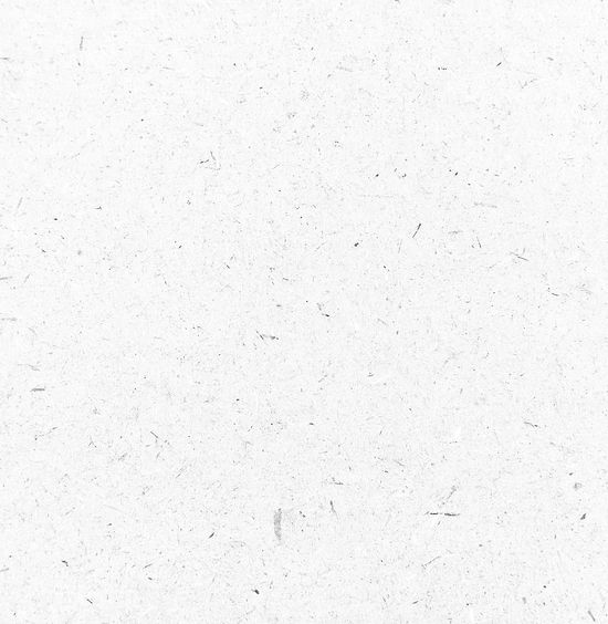 Image 4-2-24 at 11.41 AM.jpg