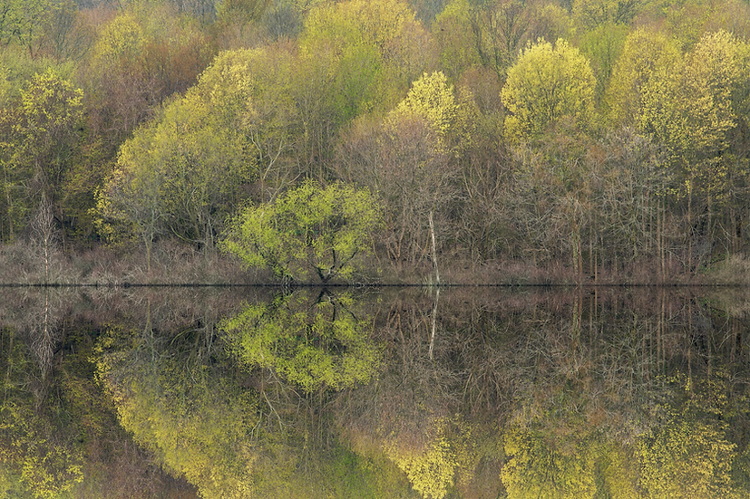 Twin Lake