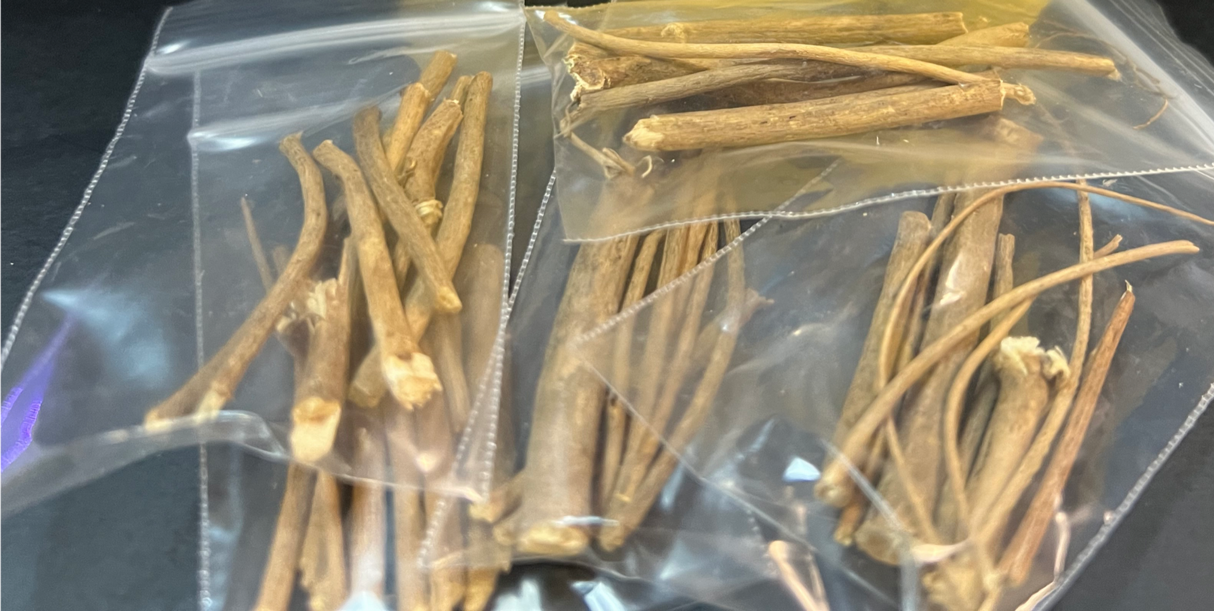 Devils Shoestring Root