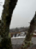 9.jpeg