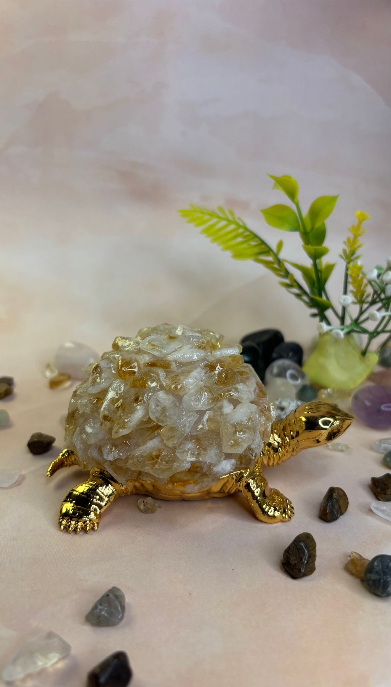 Citrine Turtoise