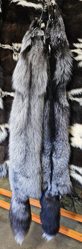 EIGHT MILLION グレー フォックスファージレフリーサイズ Farm Raised Silver Fox Raw Fur | houghfur
