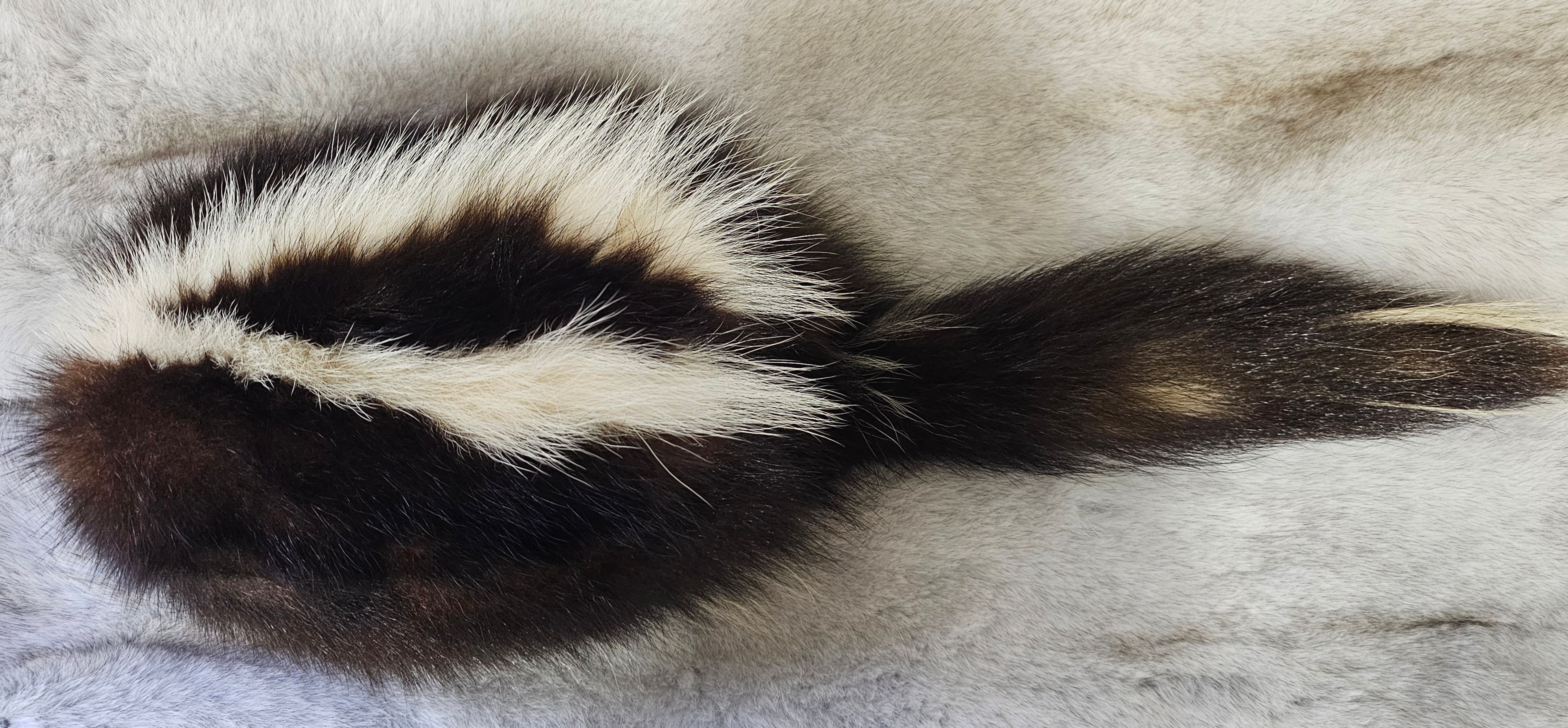 Skunk Fur Daniel Boone Hat