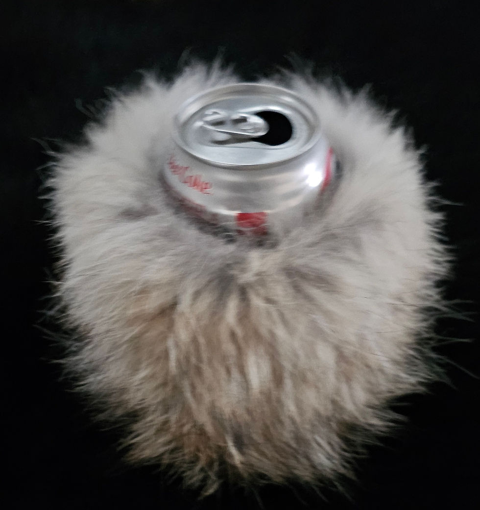 Thumbnail: Coyote Can Coozie