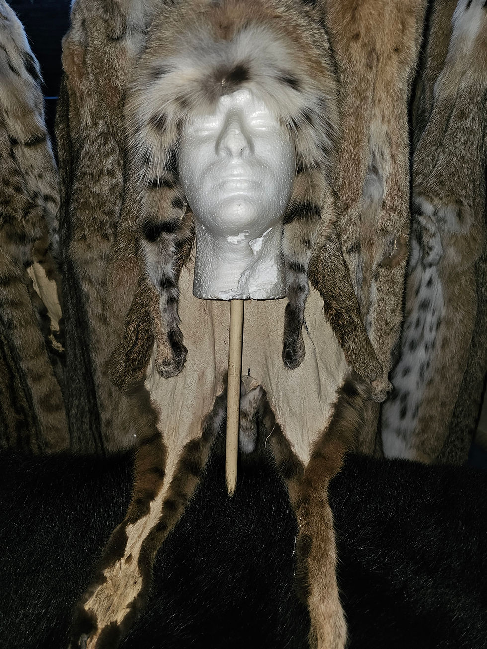 Thumbnail: Bobcat Mountain Man Hat With Paws